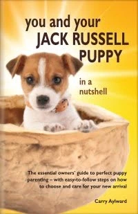 Jack Russell book cover