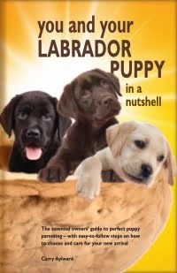 Labrador book cover