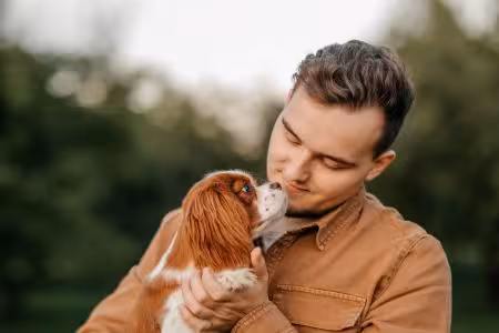 Cavalier King Charles Spaniel puppy being held