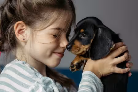 Dachshund puppy being held by little girl